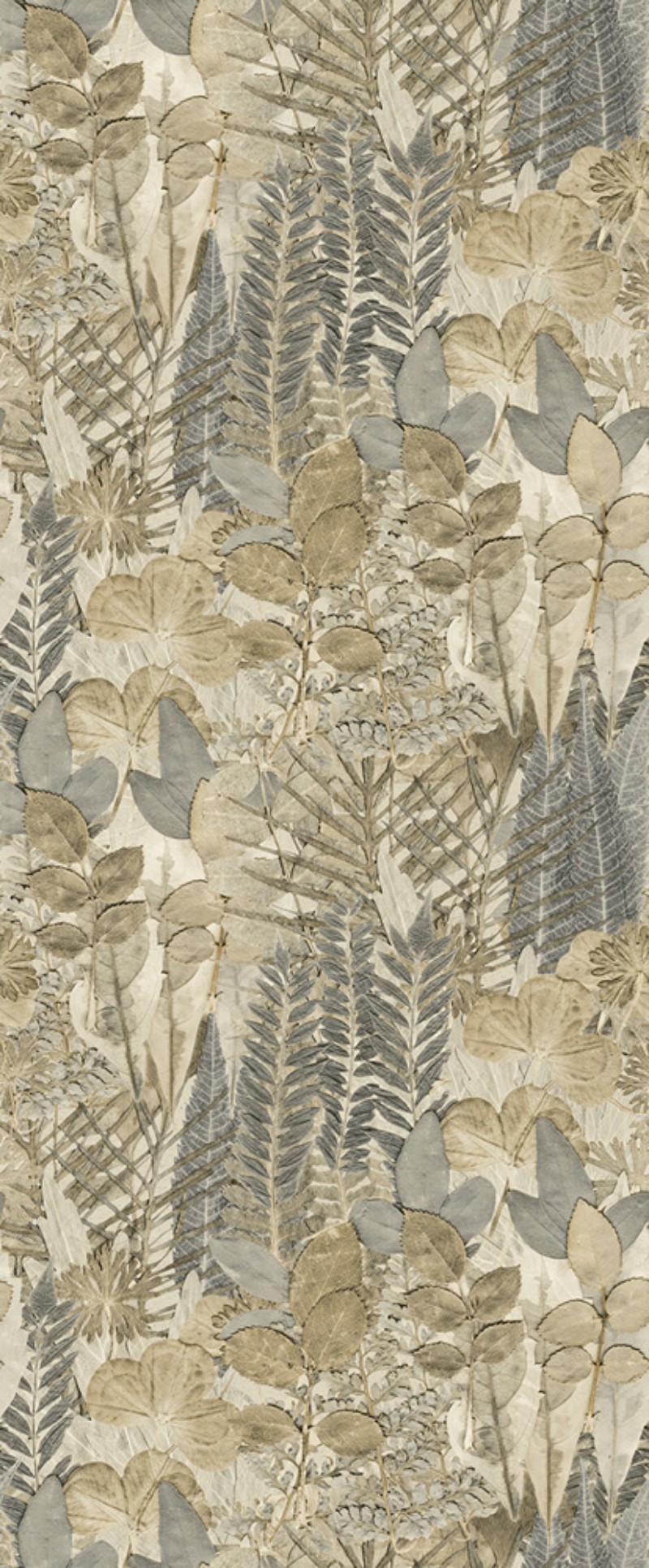 Bild på Färgsättning Herbarium - HED27294
