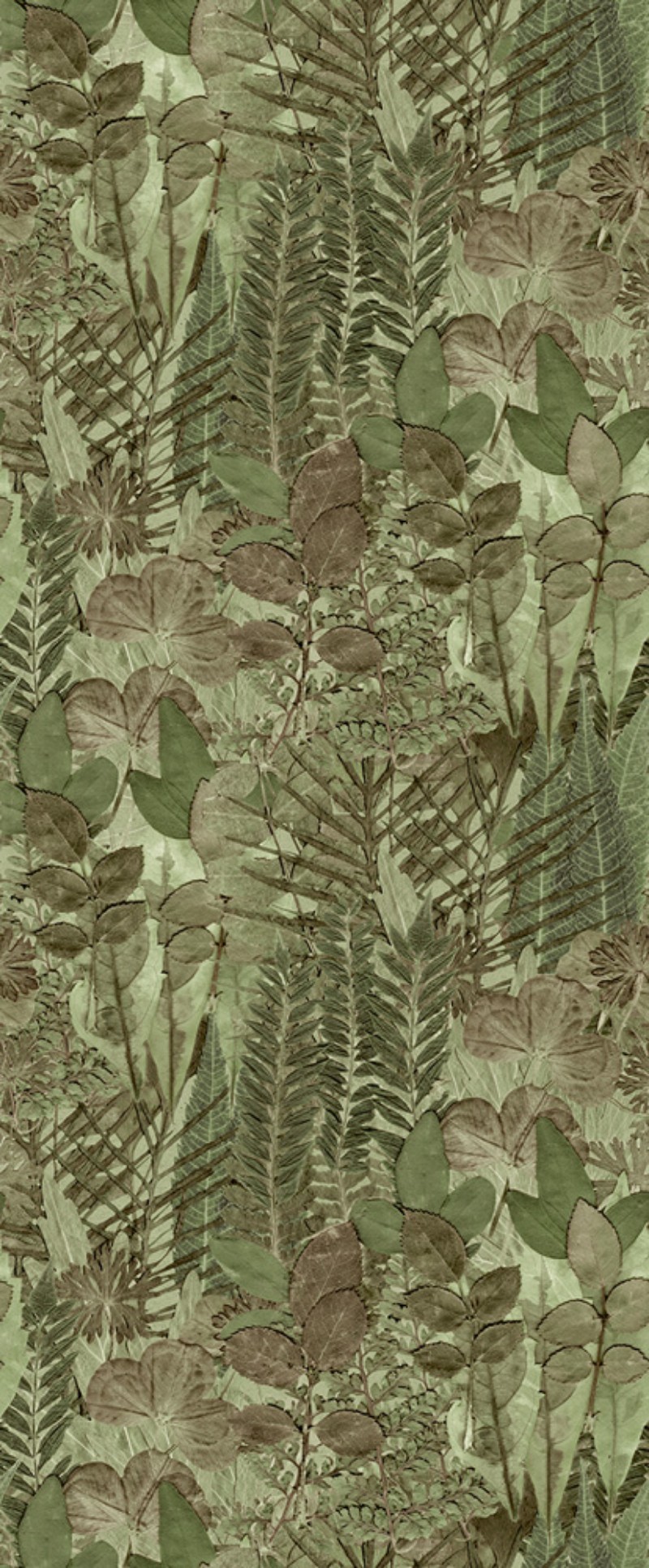 Bild på Färgsättning Herbarium - HED27295