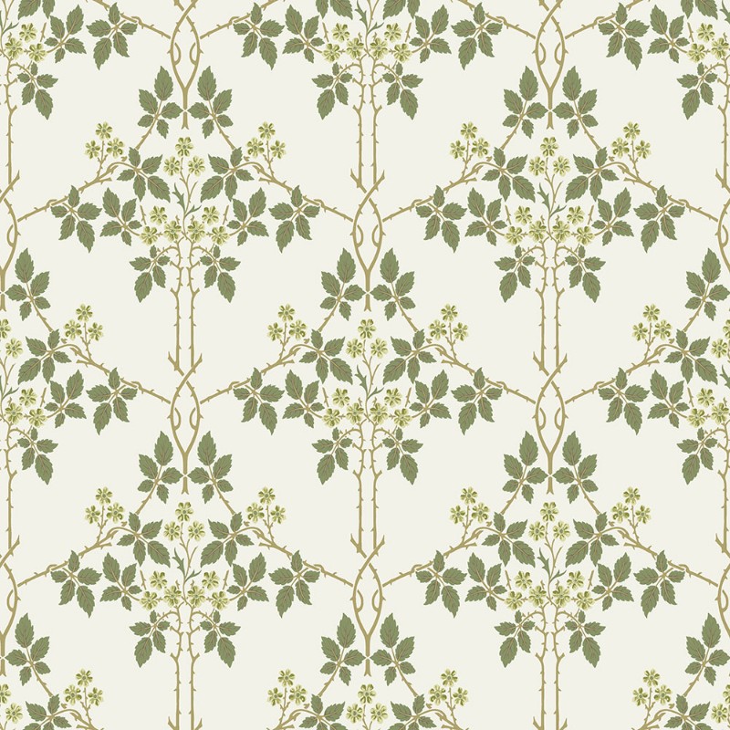 Dažas Blackberry - 82053 - 05312-01 paveikslėlis