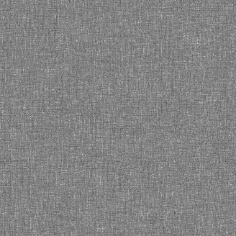 Obrázek Nátěr Canvas Graphite - 6119 - 05365-01