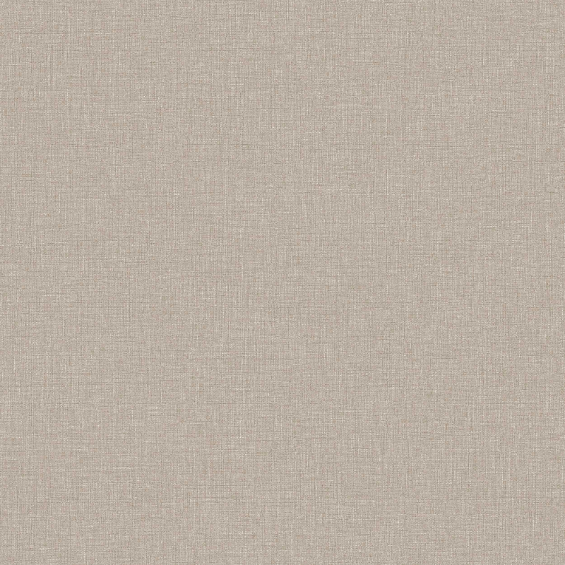Pilt Värv Canvas Taupe - 6124 - 05370-01