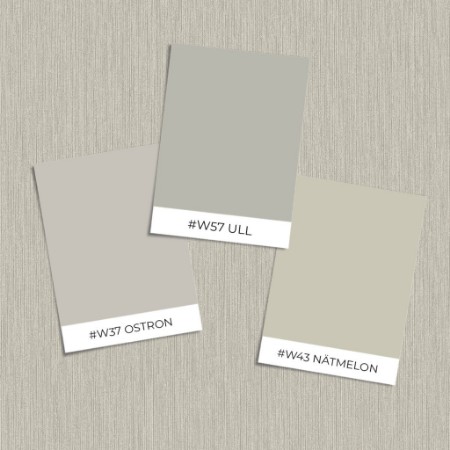 Bild på Färgsättning Fossil - 17205 - 05633-01