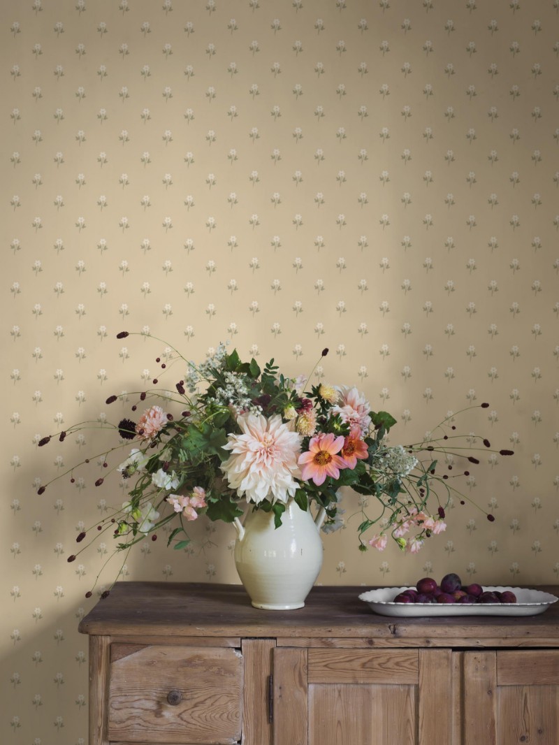 Slika Bojanje Anemone - 6972 - 05715-01