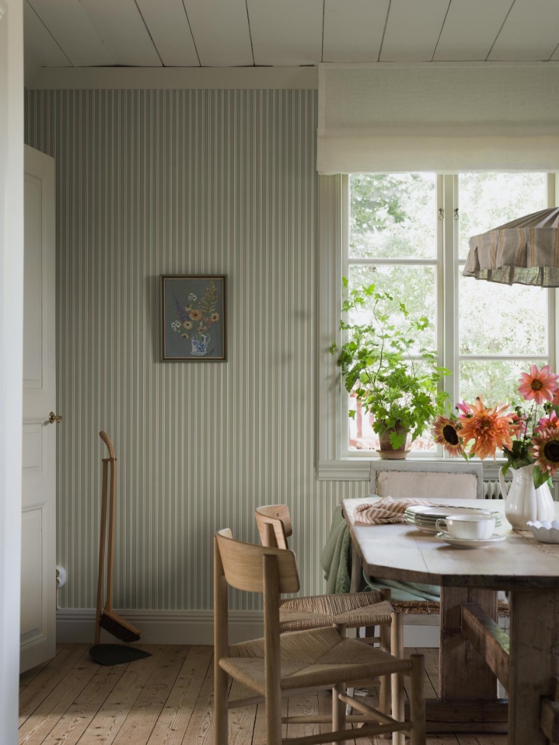 Dažas Pärlrand - 6980 - 05723-01 paveikslėlis