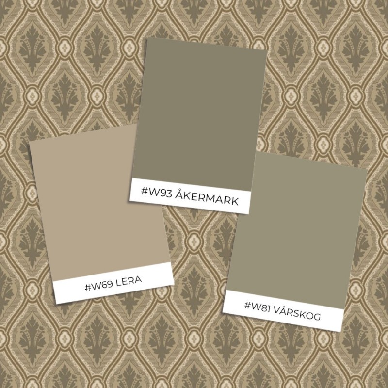 Poza cu Vopsea August - 542-01 - 05776-01