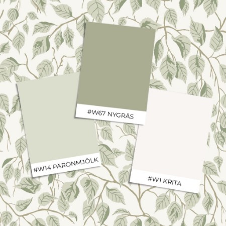 Bild på Färgsättning Hängbjörk - 20107 - 05853-01