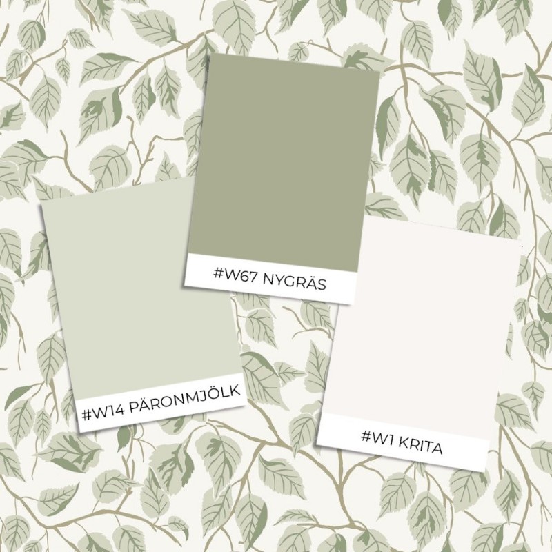 Bild på Varuprov stil - Hängbjörk - 20107