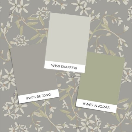 Bild på Färgsättning Paradis - 20114 - 05860-01