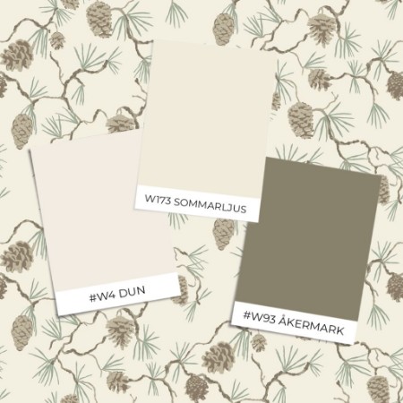 Bild på Färgsättning Tallskog - 20115 - 05861-01