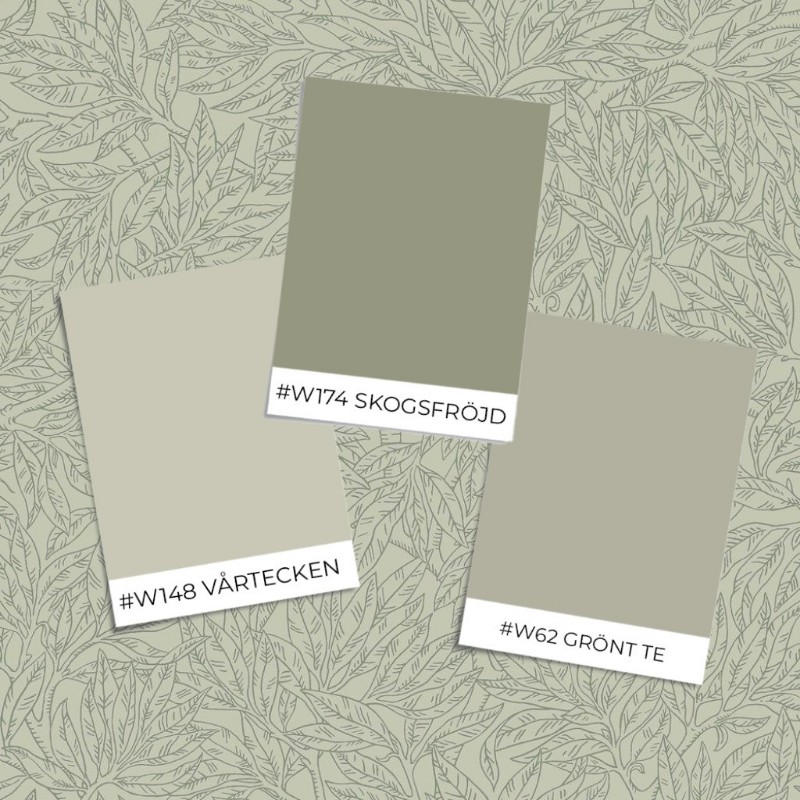 Εικόνα της Βαφή Salix Alba - 7787 - 05968-01