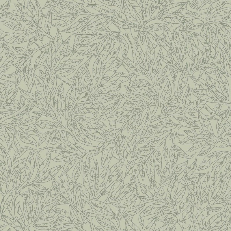 Εικόνα της Βαφή Salix Alba - 7787 - 05968-01