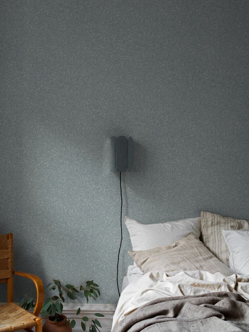 Dažas Salix Alba - 7788 - 05969-01 paveikslėlis