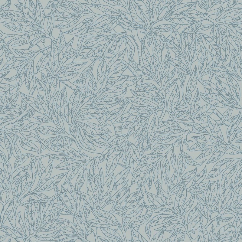 Image de Coloration Salix Alba - 7788 - 05969-01
