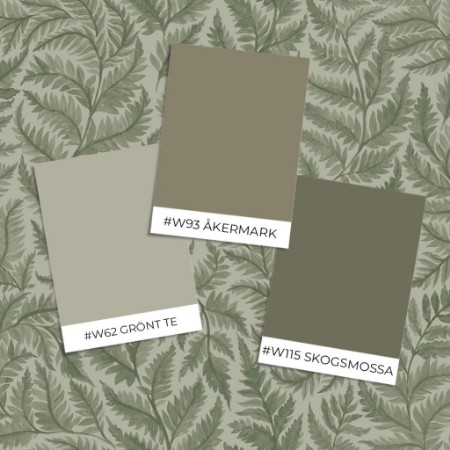 Εικόνα της Βαφή Ferns - 7792 - 05973-01