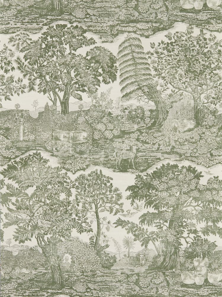 Image of 