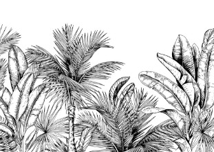 Tropical card with palm trees and banana leaves Black and white Hand drawn vector illustration photowallpaper Scandiwall