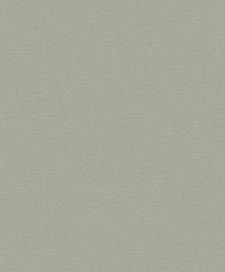 Nuance Plain Texture - LB25123 wallpaper Galerie
