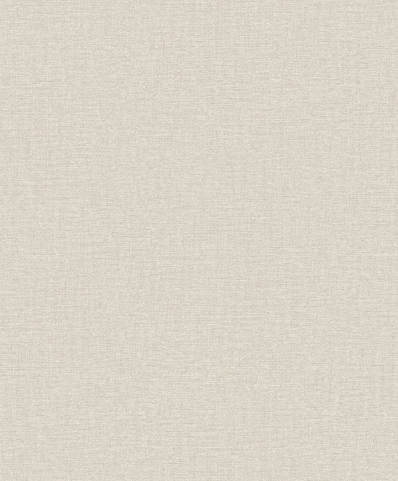 Nuance Plain Texture - LB25132 wallpaper Galerie