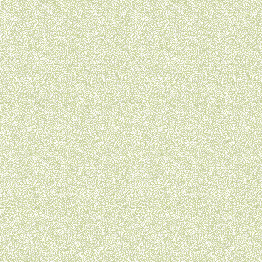Full Mini - G68708 wallpaper Galerie