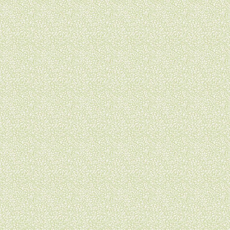 Full Mini - G68708 wallpaper Galerie