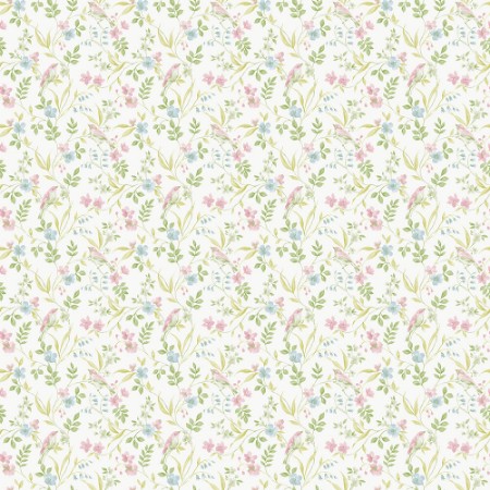 Garden Bird - G68716 wallpaper Galerie