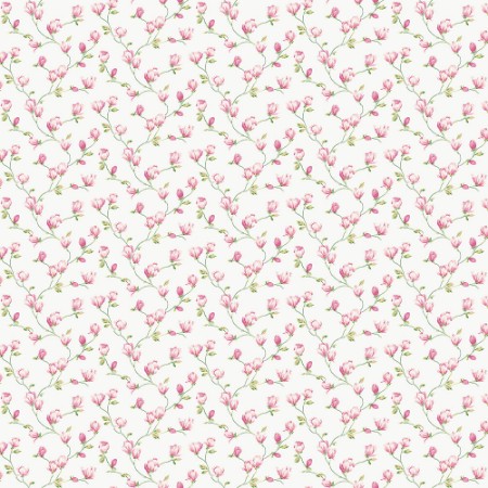 Mini Magnolia - G68723 wallpaper Galerie