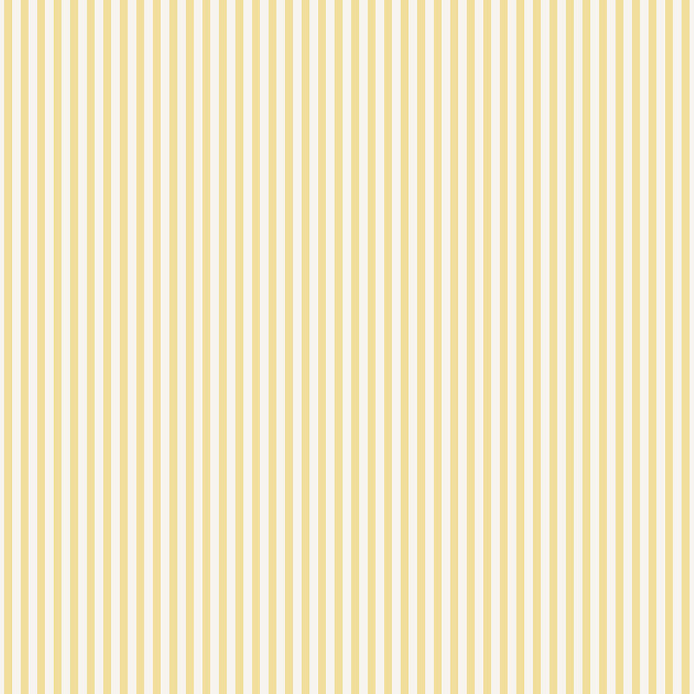 Shirt Stripe - G68737 wallpaper Galerie