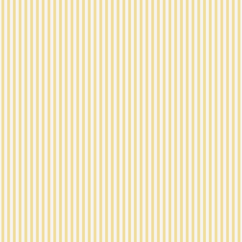 Shirt Stripe - G68737 wallpaper Galerie