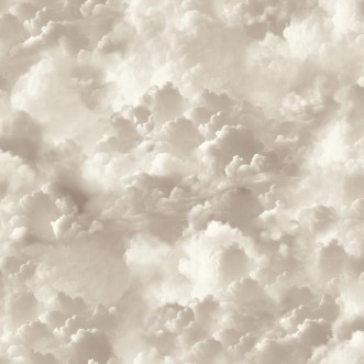 Vanilla Skies Neutral - 100189AH wallpaper Arthouse