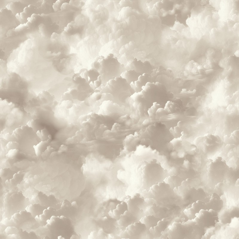 Vanilla Skies Neutral - 100189AH wallpaper Arthouse