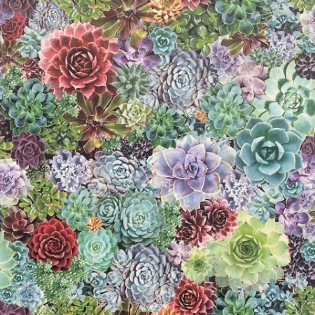 Succulent Living Wall Multi - 259402 wallpaper Arthouse