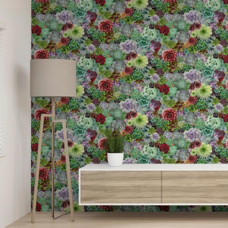 Succulent Living Wall Multi - 259402 wallpaper Arthouse