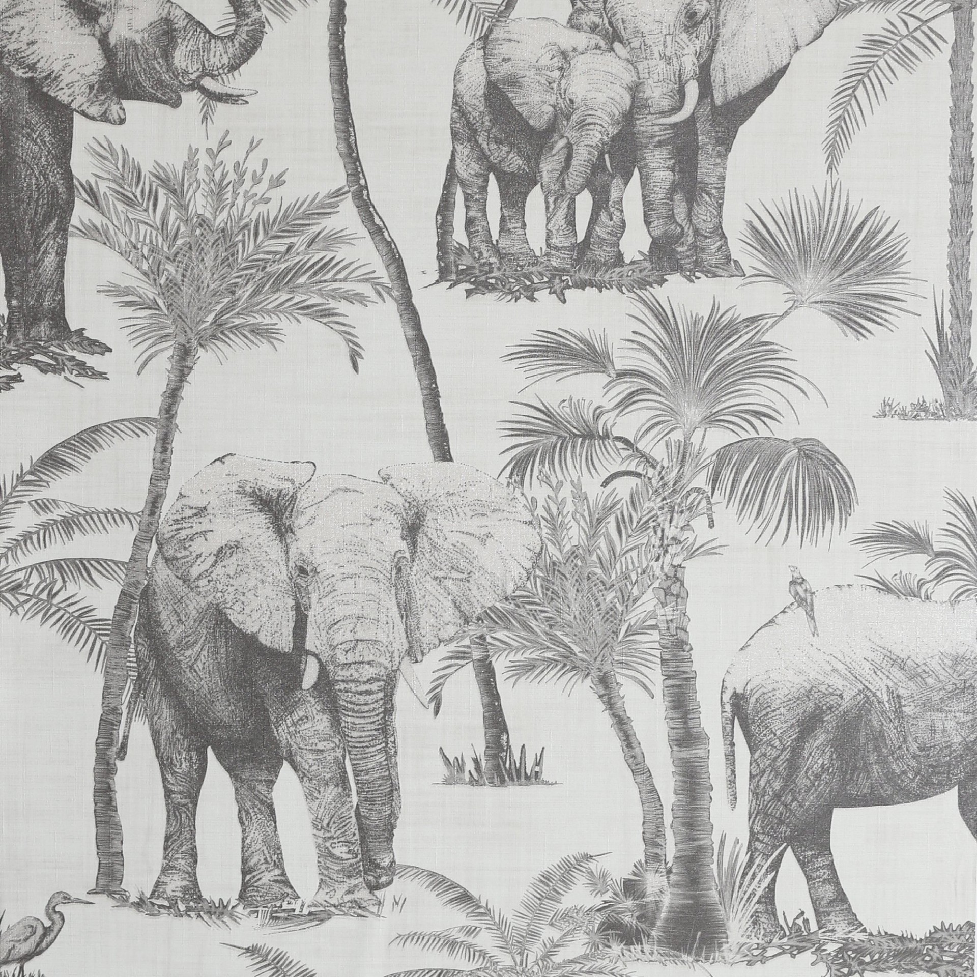 Safari Elephant Charcoal - 296700 wallpaper Arthouse