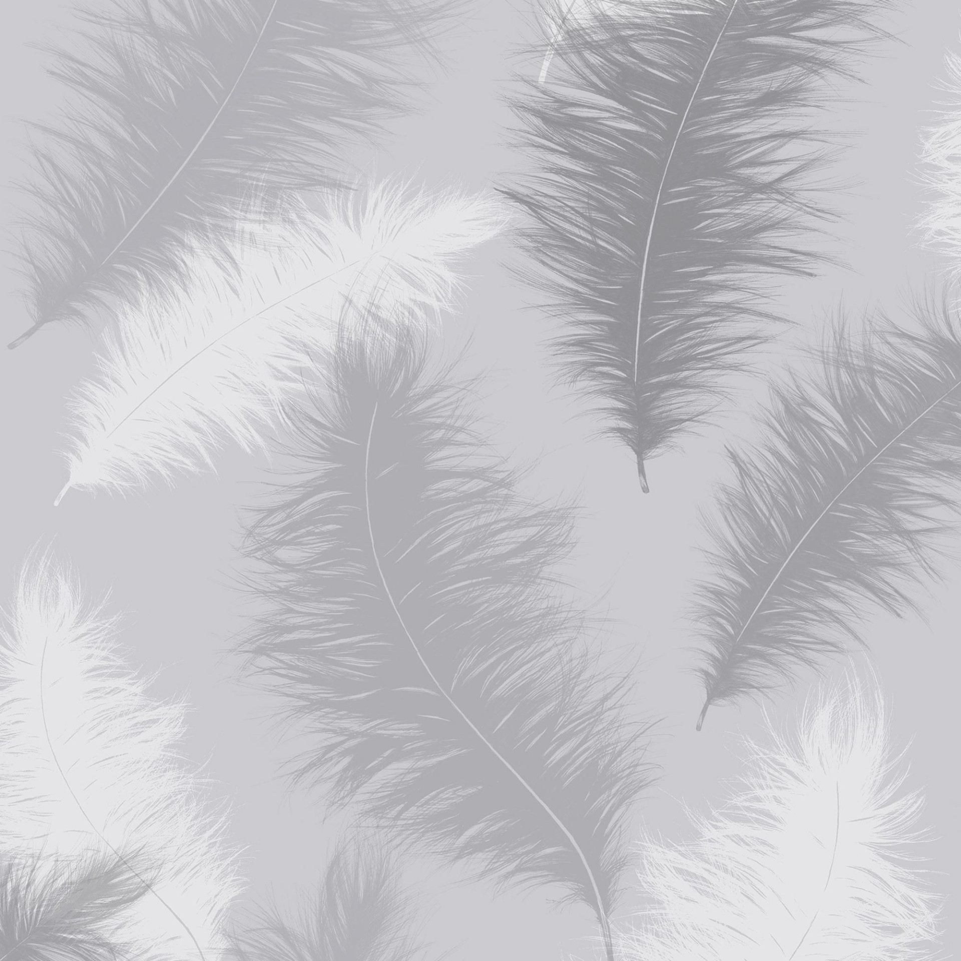 Sussurro Grey - 901705 wallpaper Arthouse