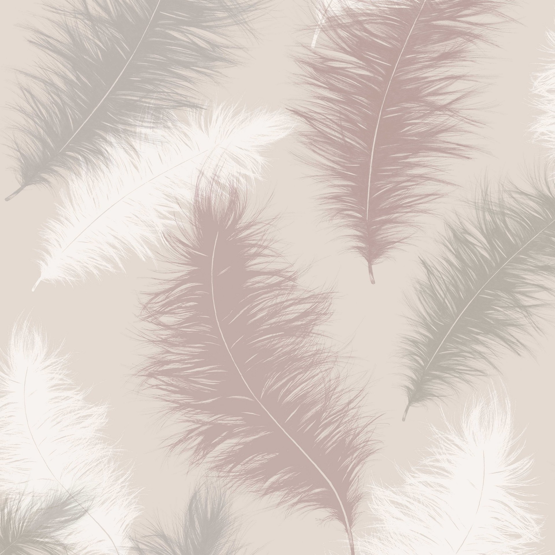 Sussurro Blush - 901706 wallpaper Arthouse