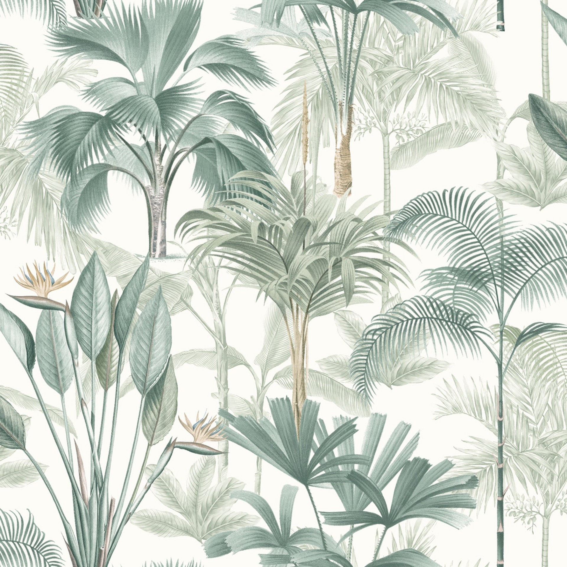 King Palm Green - 922908 wallpaper Arthouse