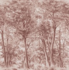 Sketch of Trees - 9634W wallpaper Boråstapeter