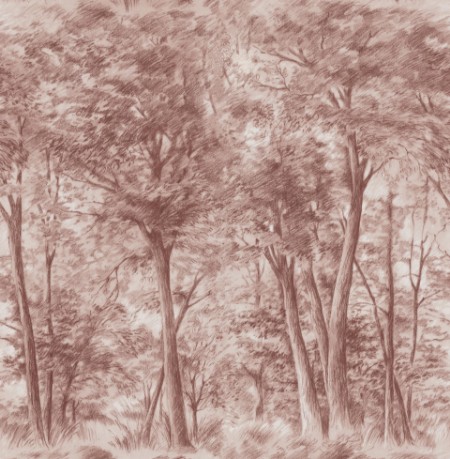 Sketch of Trees - 9634W wallpaper Boråstapeter