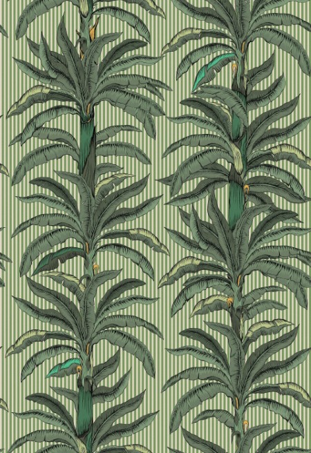 Rayure Palmier - 9711W wallpaper Boråstapeter