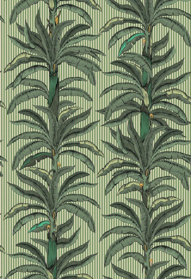 Rayure Palmier - 9711W wallpaper Boråstapeter