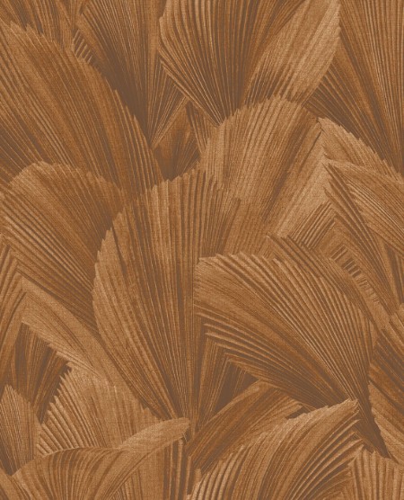 Ritratt ta’ Licuala - 340123