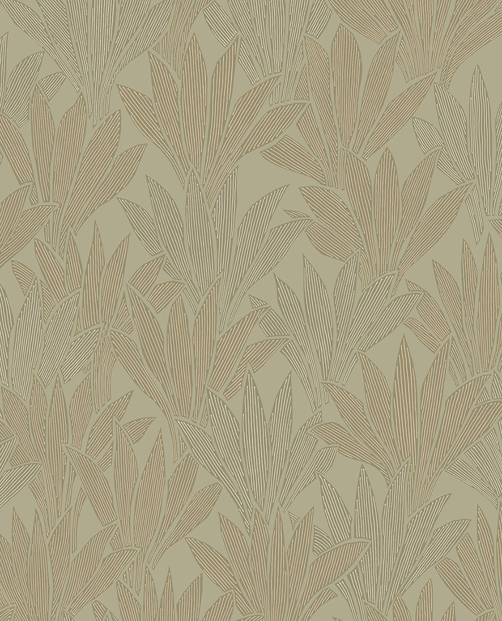 Picture of Ray of Palms - 340151