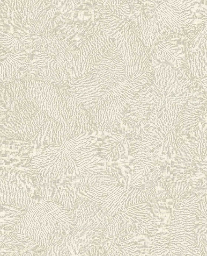 Image de Sensory - 340363