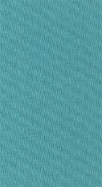 Slika Denim - 87536363