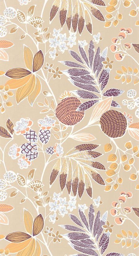 Ritratt ta’ Palm springs - 88801414