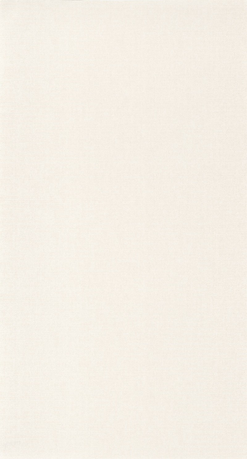 Picture of Helsinki Resolution - 82071101