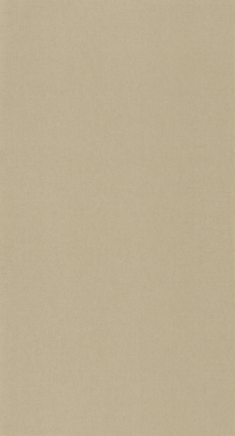 Picture of Helsinki Resolution - 82071425