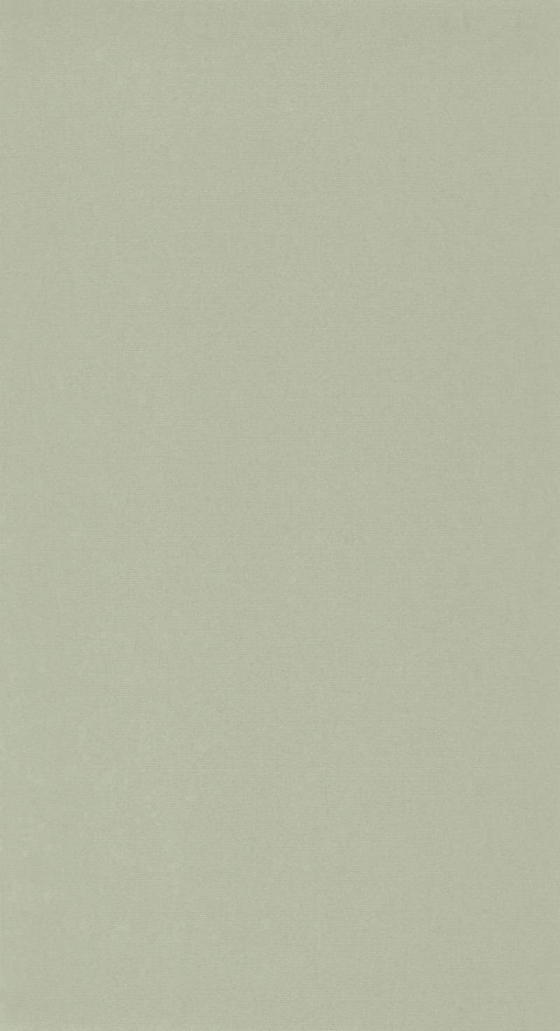 Picture of Helsinki Resolution - 82077159