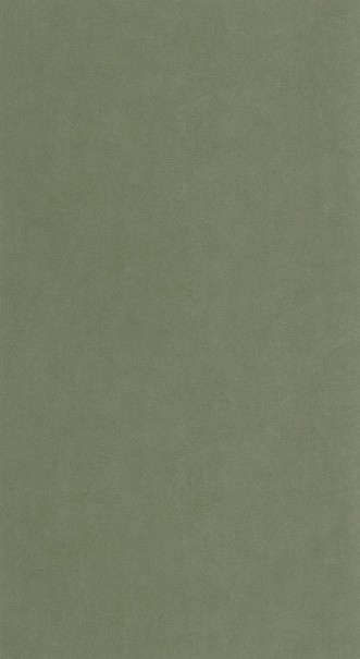 Obrázok z Masaya - 86427538