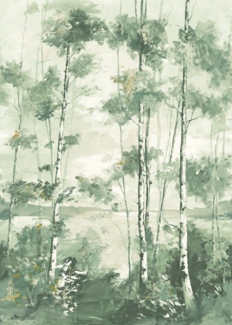 Image de Foret Boreale - 89567803